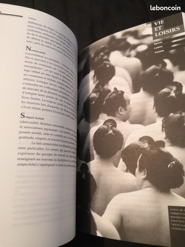 Livre Japon (image 4)