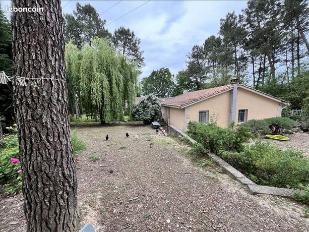 Pavillon 5 pièces 272 m²