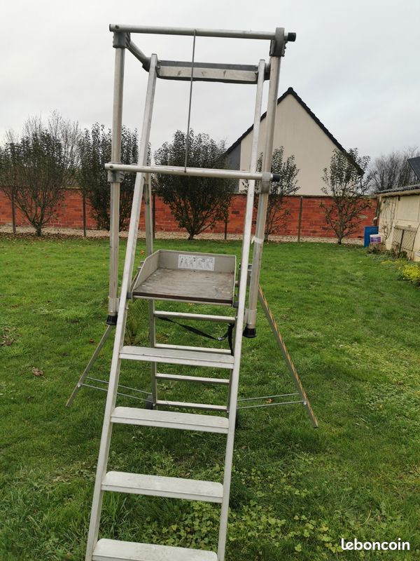 Gazelle tubesca (image 3)