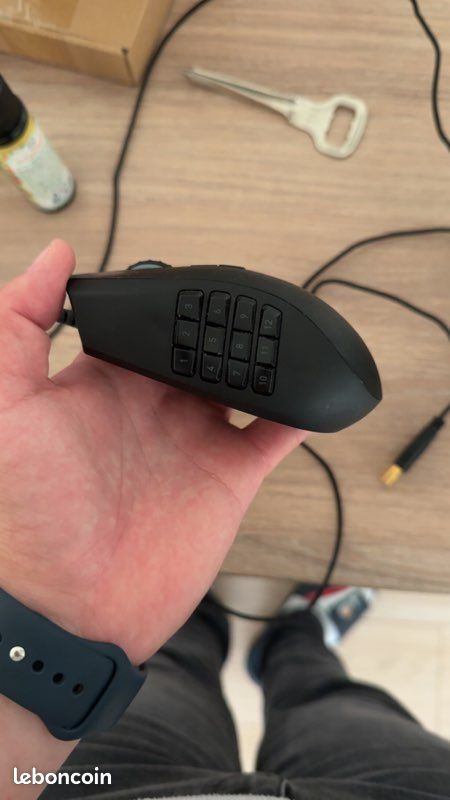 Souris Razer naga Chroma (image 1)