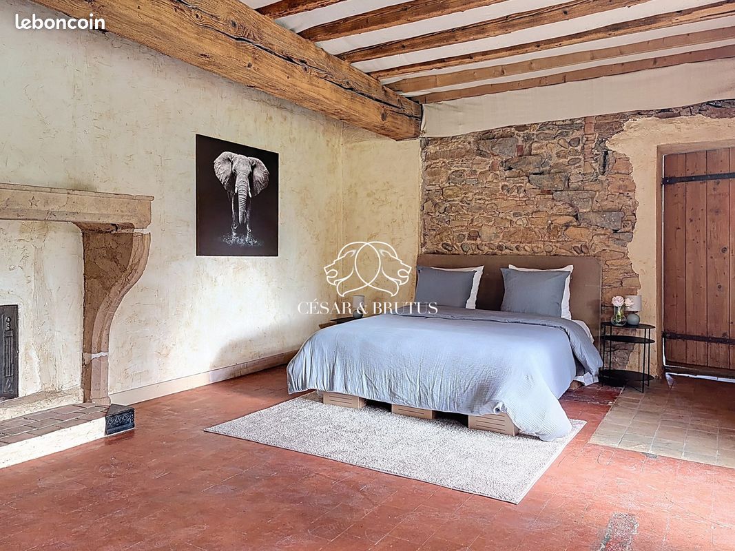 Maison 8 pièces 187 m² · à Fleurieu-sur-Saône · 187 m² · 695 000 €