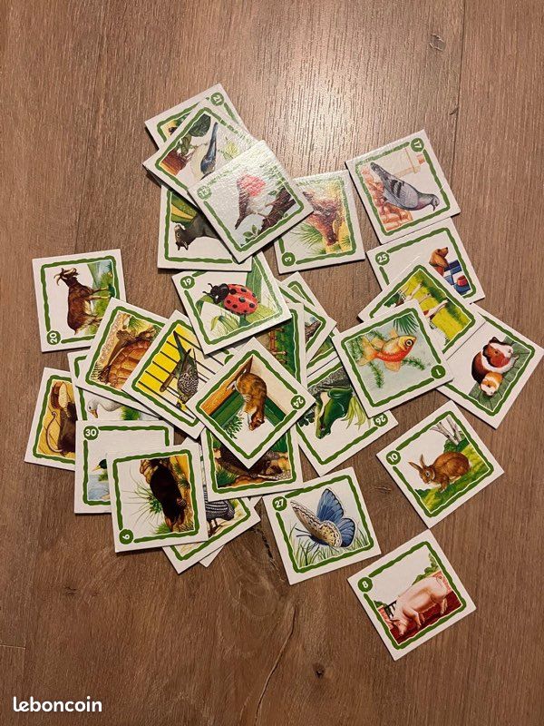 Loto les animaux familiers (image 3)
