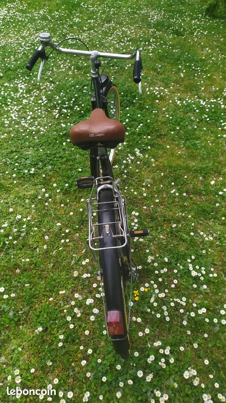 Vélo de ville type Hollandais (image 3)