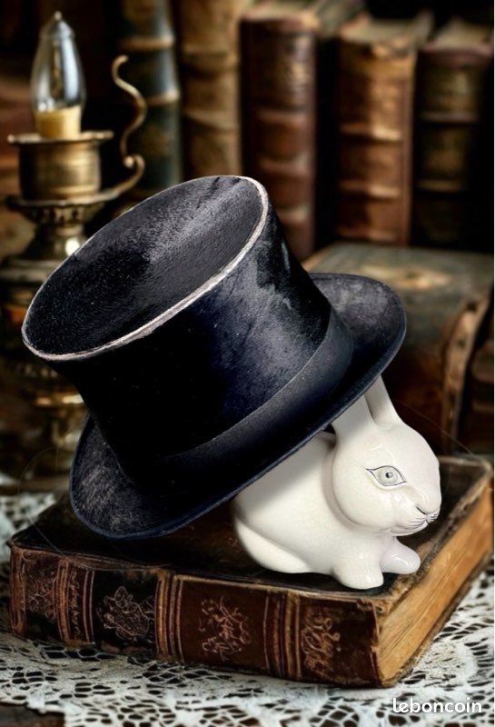 Chapeau Haut De Forme Victorien + Canne Noire - Costume Magicien, Cosplay, Déguisé Soirée