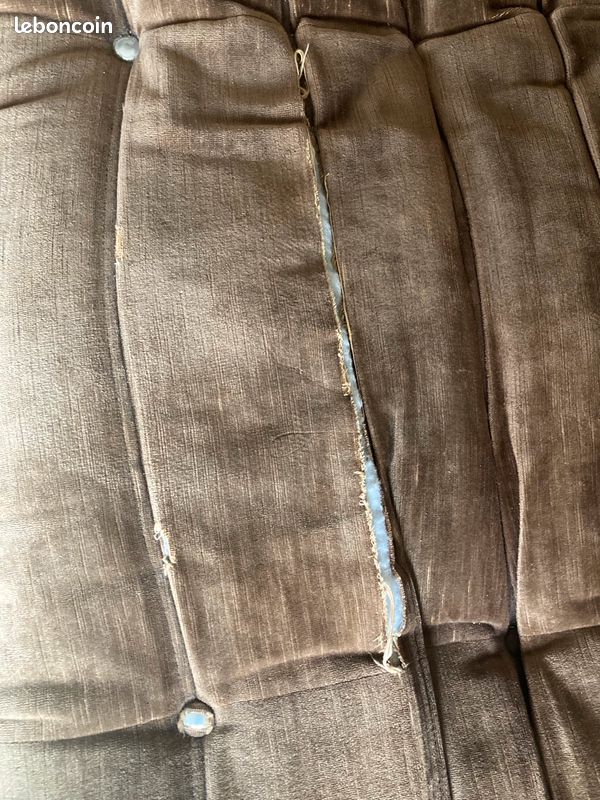 Togo Ligne Roset 2 places (image 5)