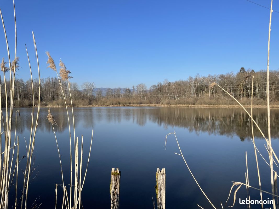 Terrain 39191 m² Sermamagny (image 3)