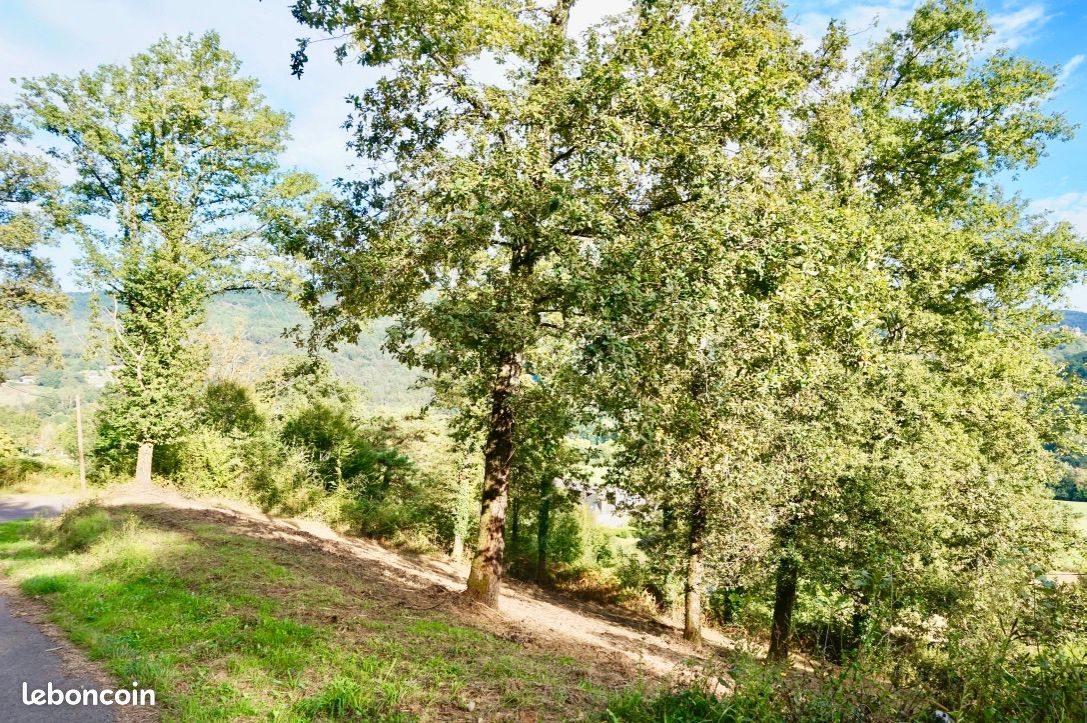 Terrain 1200 m² SAINT HILAIRE PEYROUX (image 5)
