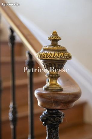 https://img.leboncoin.fr/api/v1/lbcpb1/images/70/21/85/70218566ff95992b61d946611a2841d622a2f097.jpg?rule=ad-image