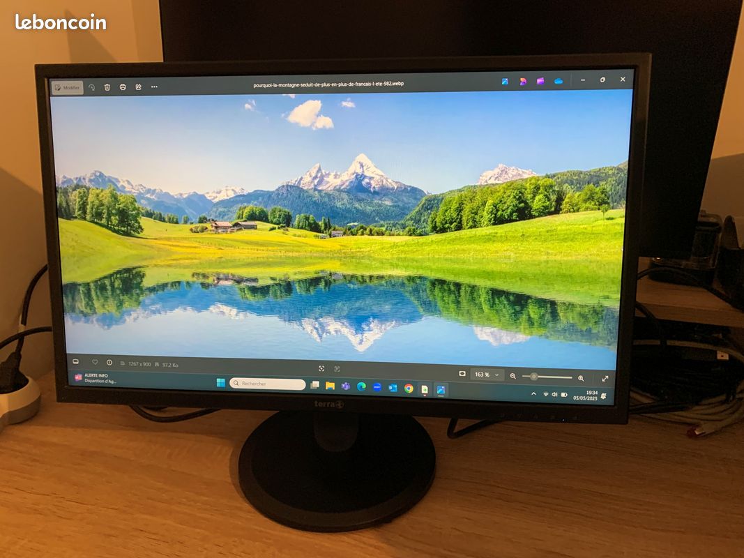 Ecran ordinateur terra 2447w (image 2)