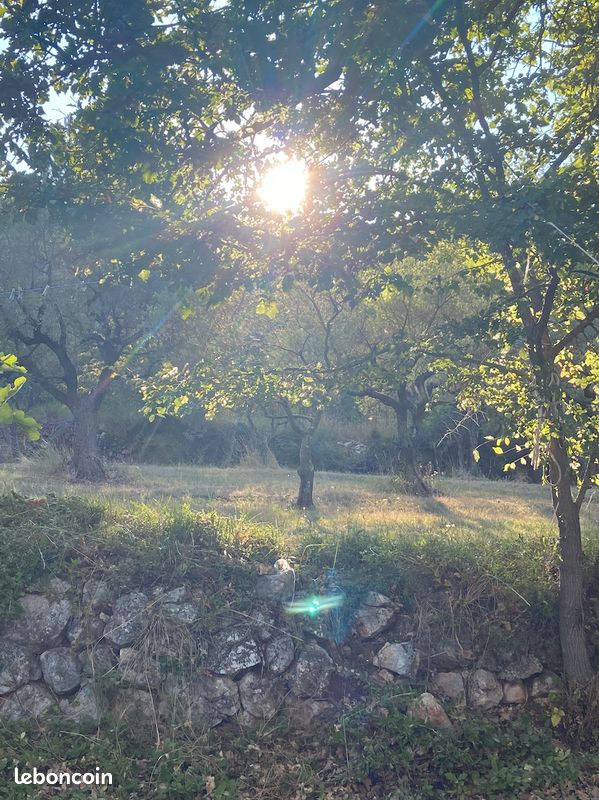 Maison nature près des lacs (image 20)