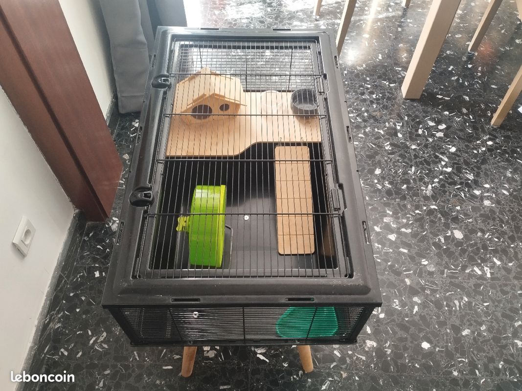 Cage hamster đč (image 2)
