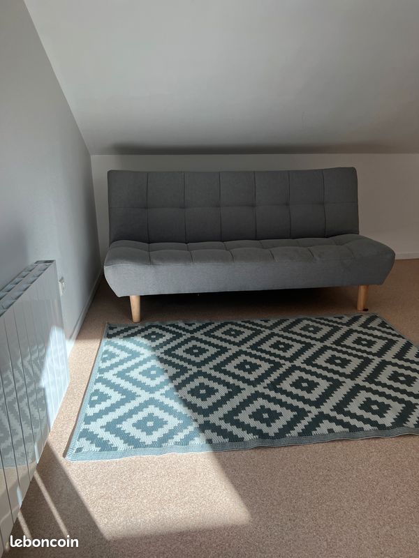 Appartement lumineux vue sur le parc - Limoges 87000 (image principale 2)