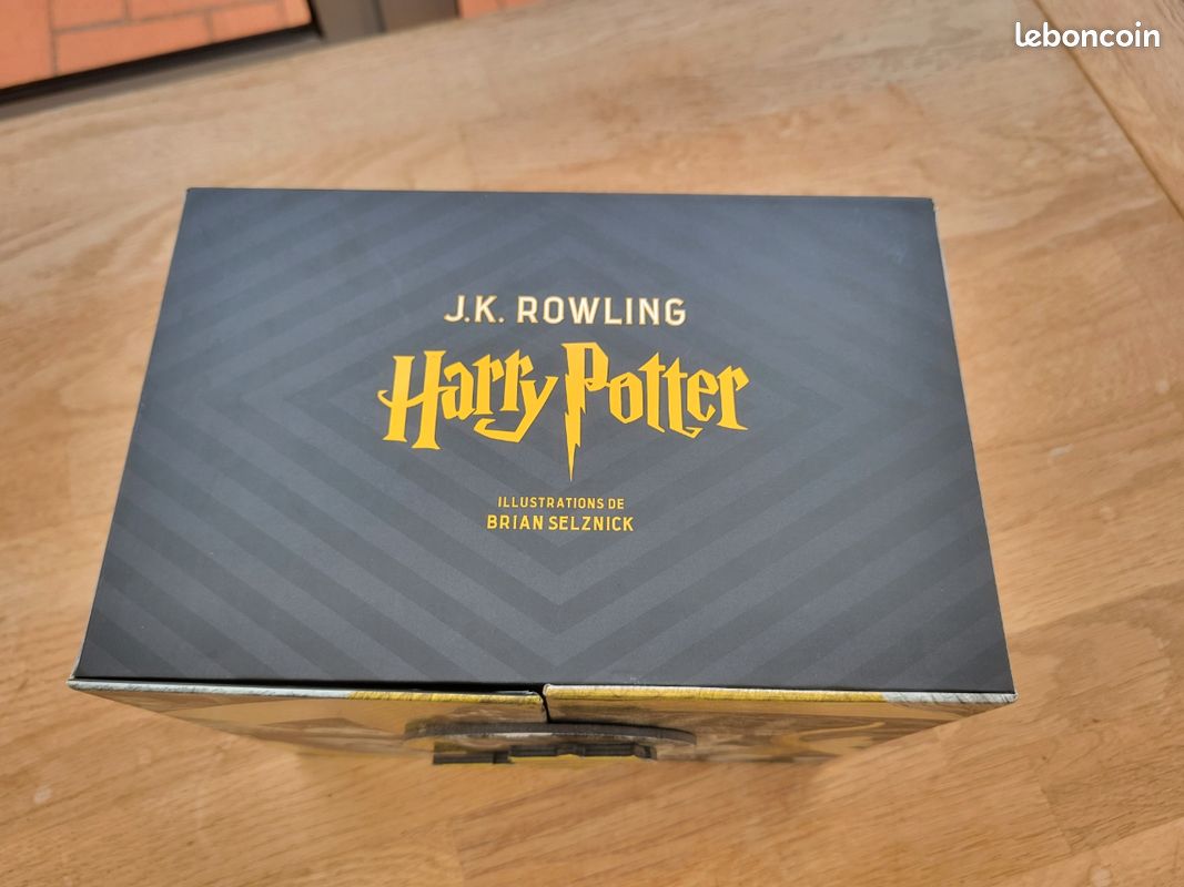 Saga Harry potter, édition spéciale Brian Selznic (image 12)