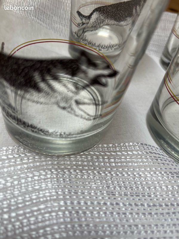 4 verres Royal Canin (image 3)
