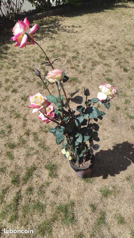 Rosier artificiel rose (image 3)