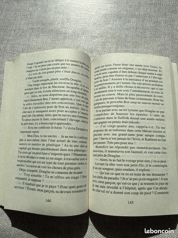 Dans le silence de l’aube Françoise Bourdin (image 3)