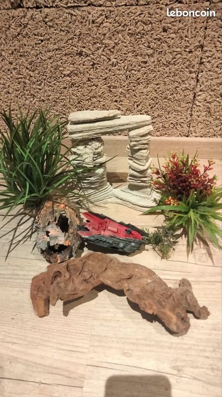 Décors aquarium (image 1)