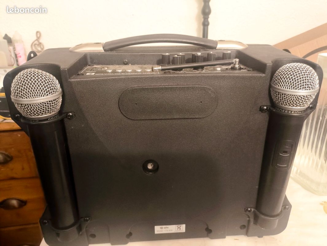 Sono portable QTX Bluetooth + 2 micros sans fil + housse (image 4)
