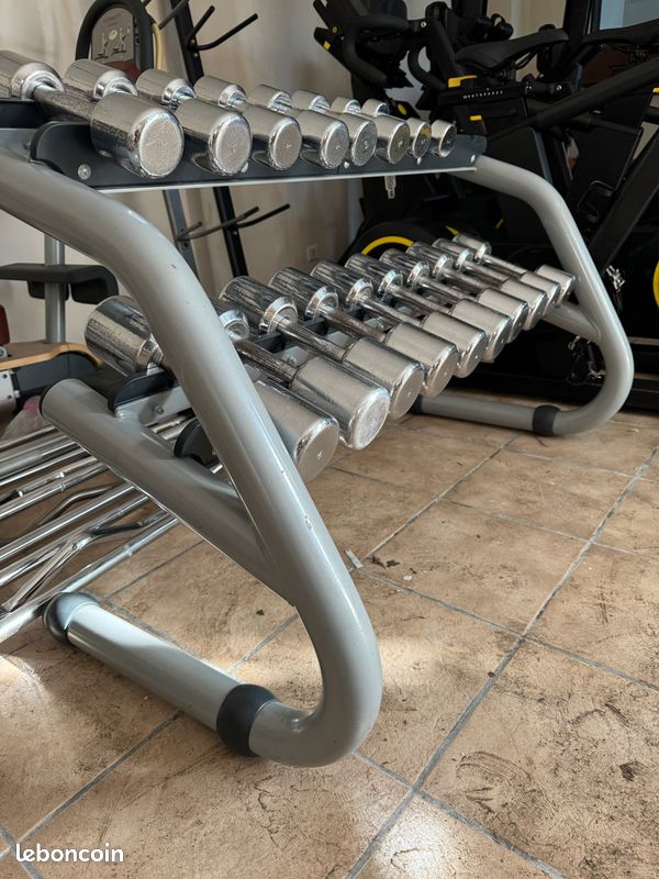 Chrome DUMBBELL RACK 10 PAIRES musculation Rack rangement d’haltères technogym (image 1)