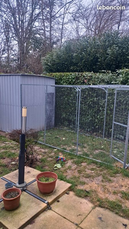 Cabane pour chiens (image 2)
