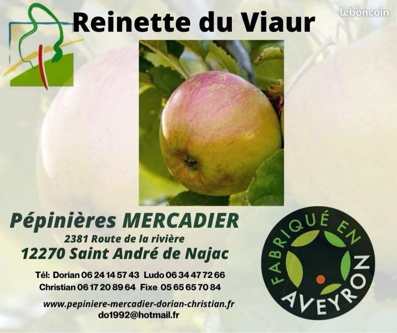 Sitemapcdatahttpsshopinf Inetcompomme De Variete Ancienne 12 Lettres