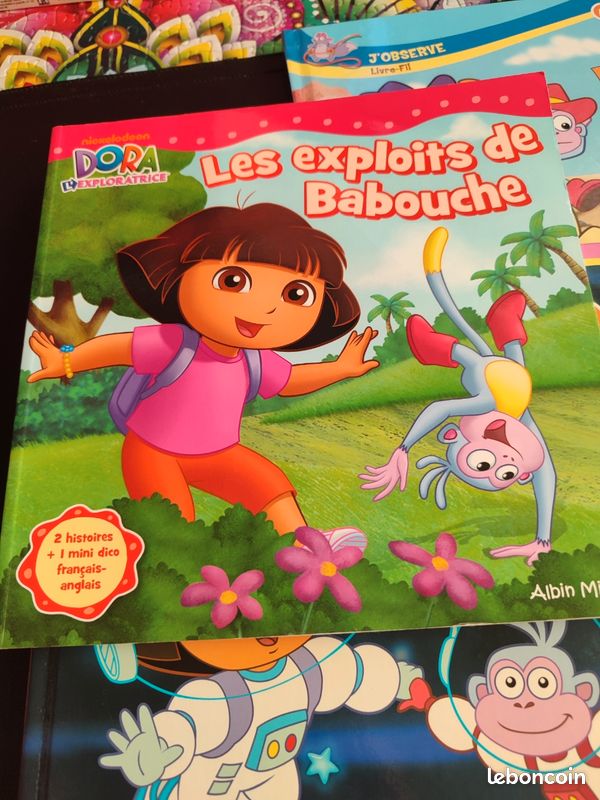 Lot livre Dora (image 2)