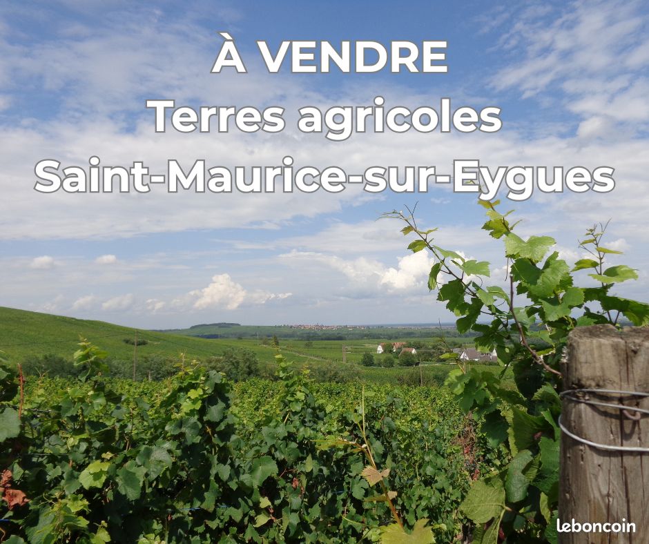 à vendre terres agricoles · à Vinsobres · 36 000 €