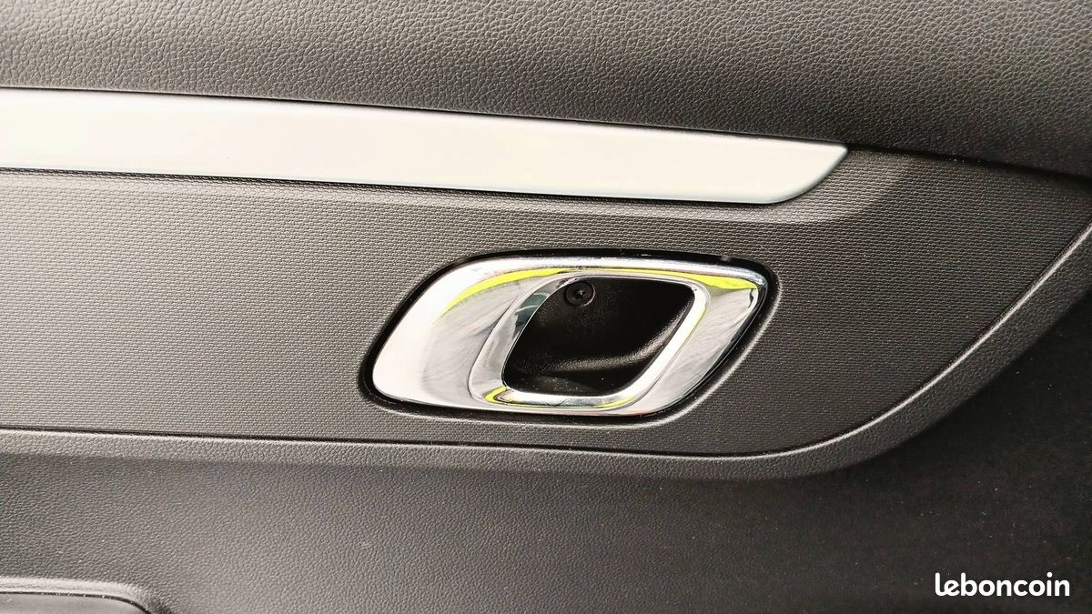 Dacia spring expression (image 17)