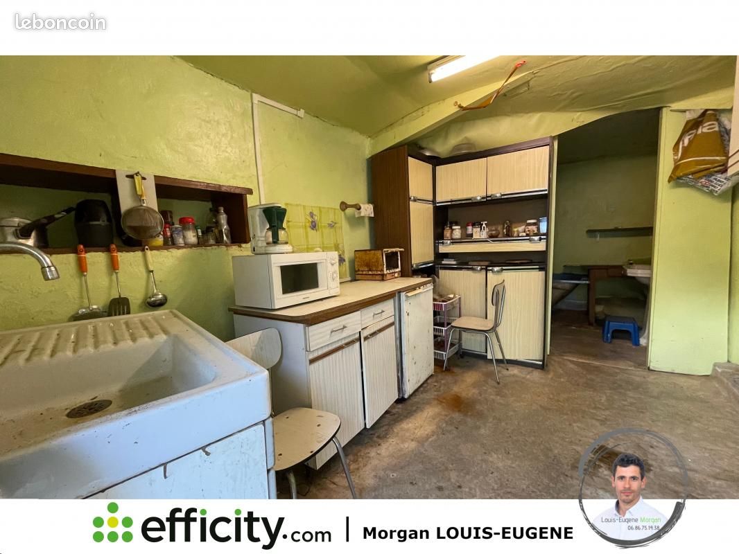 Maison 2 pièces 259 m² - Saint-Secondin 86350 (image principale 4)