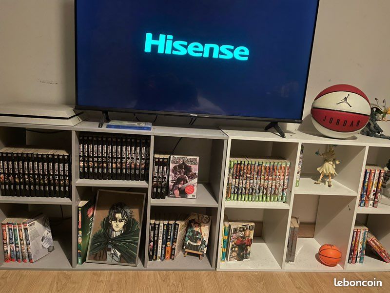 Lots de manga (image 1)