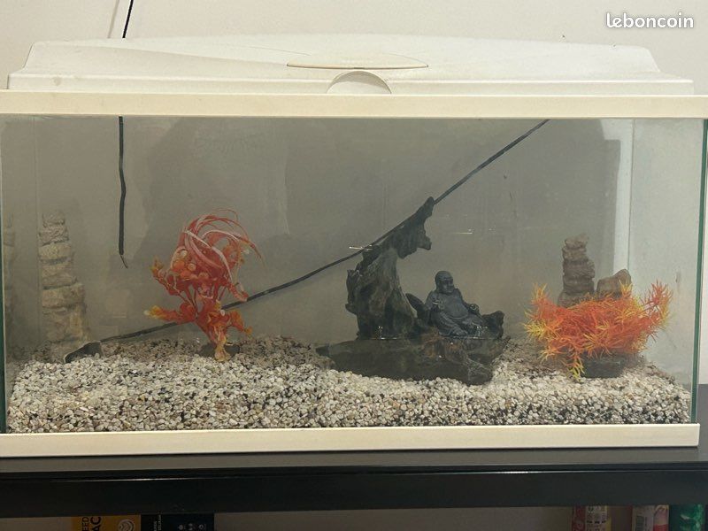 Aquarium (image 1)