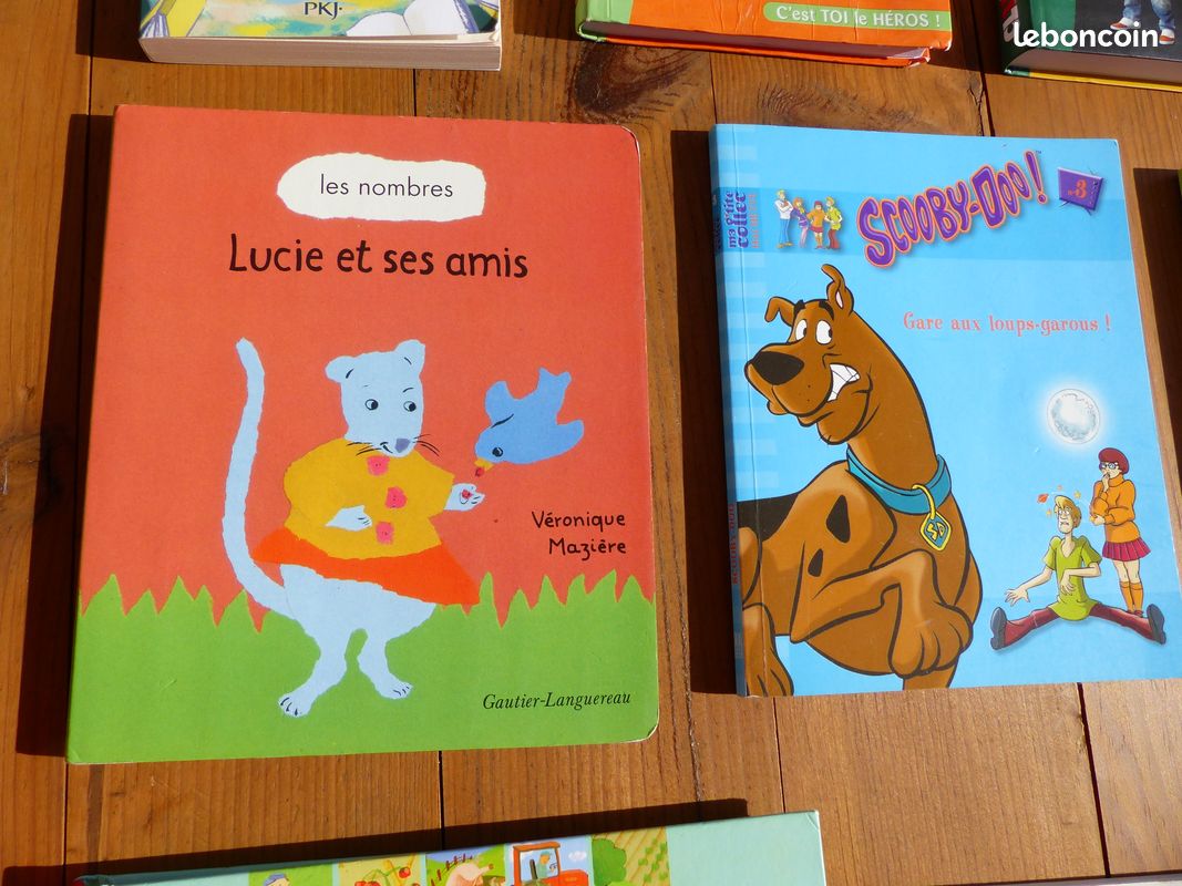 Livres enfants 12 (image 4)