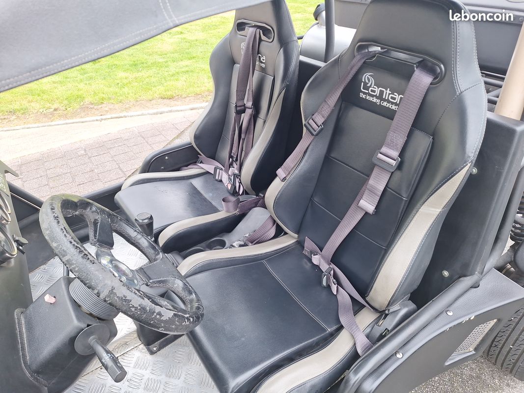 Buggy lantana 800I (image 3)