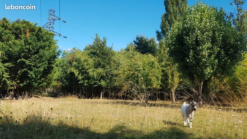 Terrain 784 m² Villeperdue (image 4)