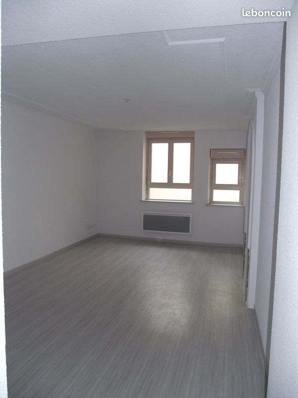 Appartement 1 pièce 37 m² · à Nancy · 37,3 m² · 429 €/mois