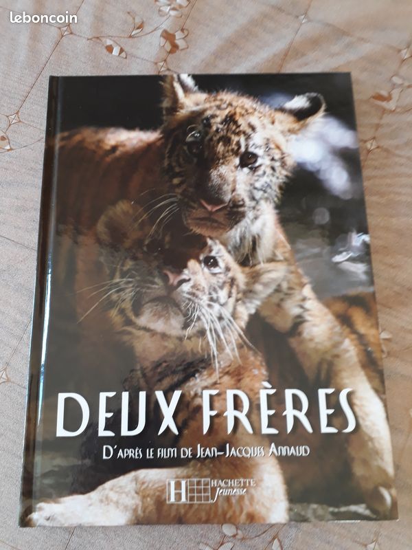 Livre enfant deux frères (image 1)