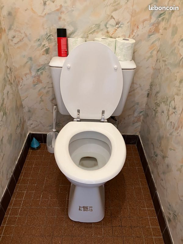 WC Porcher (image 1)