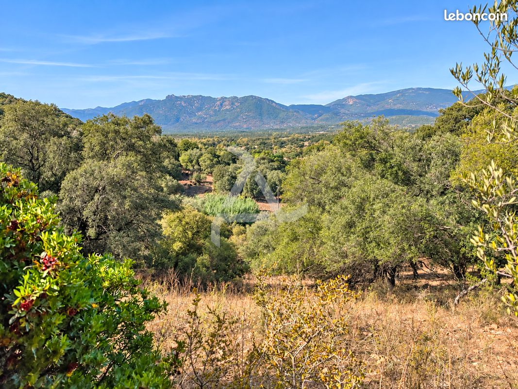 Terrain 18830 m² Porto-Vecchio (image 8)
