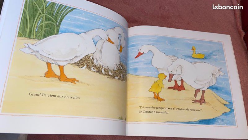 Livre souple (image 3)