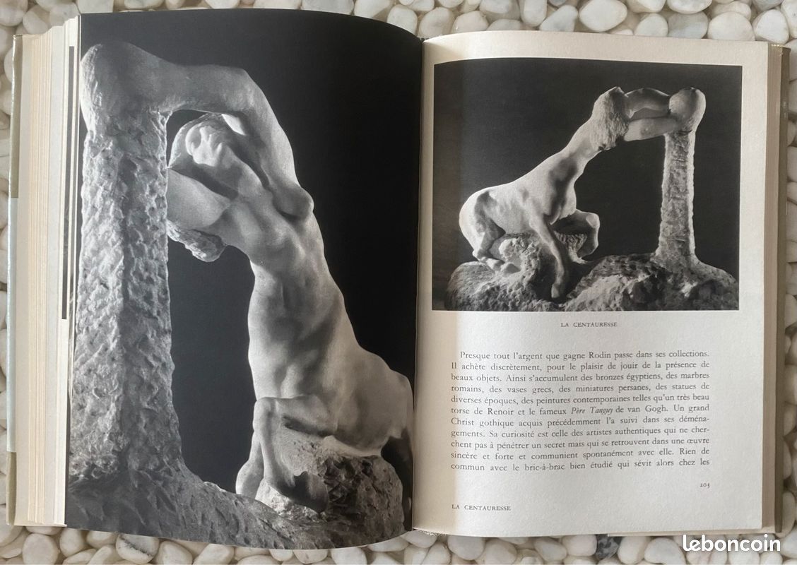 RODIN, B.Champigneulle, Somogy, 1967 (image 7)