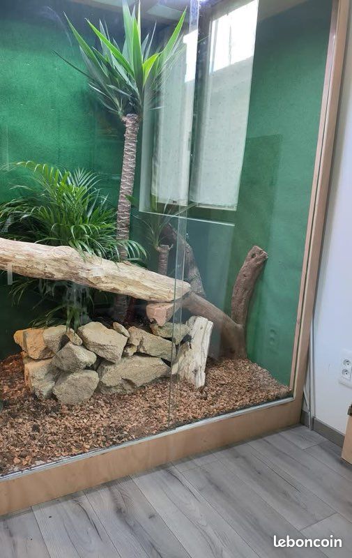 Terrarium grande capacité (image 3)