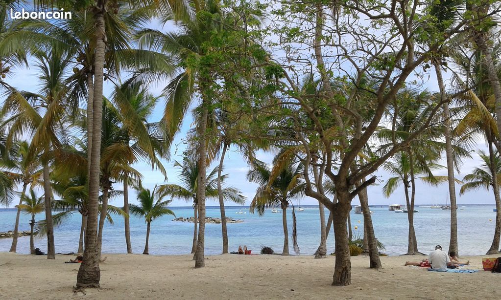 Saint François - Studio - WIFI - Plage & centre ville à 500 metres (image 7)