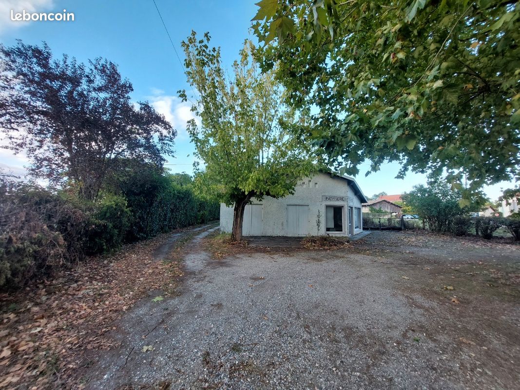 Maison 6 pièces 250 m² · à Salles · 250 m² · 280 000 €