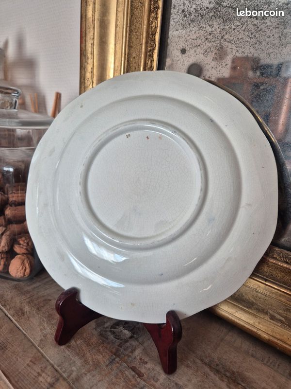 Assiette anglaise vers 1900 Exotic Birds (image 4)
