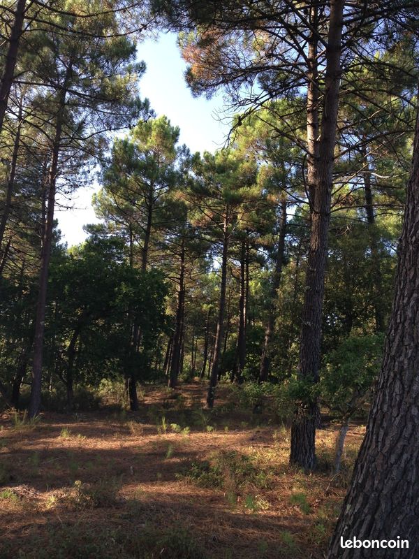 Propriété Forestière 17 Hectares (image 1)
