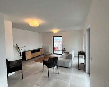 Magnifique T3 coeur Confluence