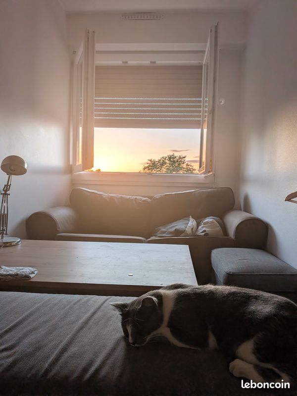 Chambre en colocation (image 2)