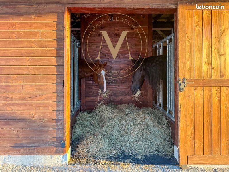 Haras 7 pièces 270 m² (image 20)