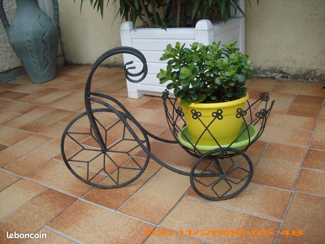 Velo en fer noir avecplante grasse (image 2)