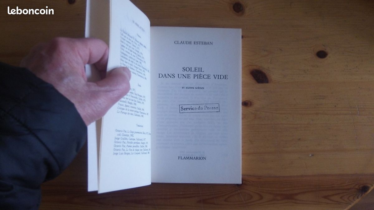 SOLEIL DANS UNE PIÈCE VIDE et autres scènes (Claude Esteban) Littérature/peinture (image 8)